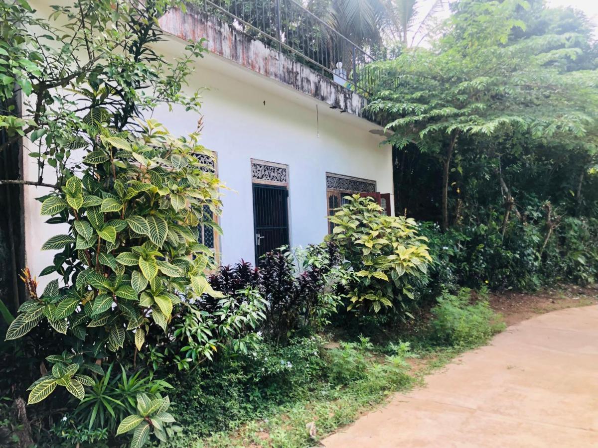 ميريسا Thaaaru Villa المظهر الخارجي الصورة